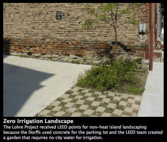 Lohre   Zero Irrigation Landscape